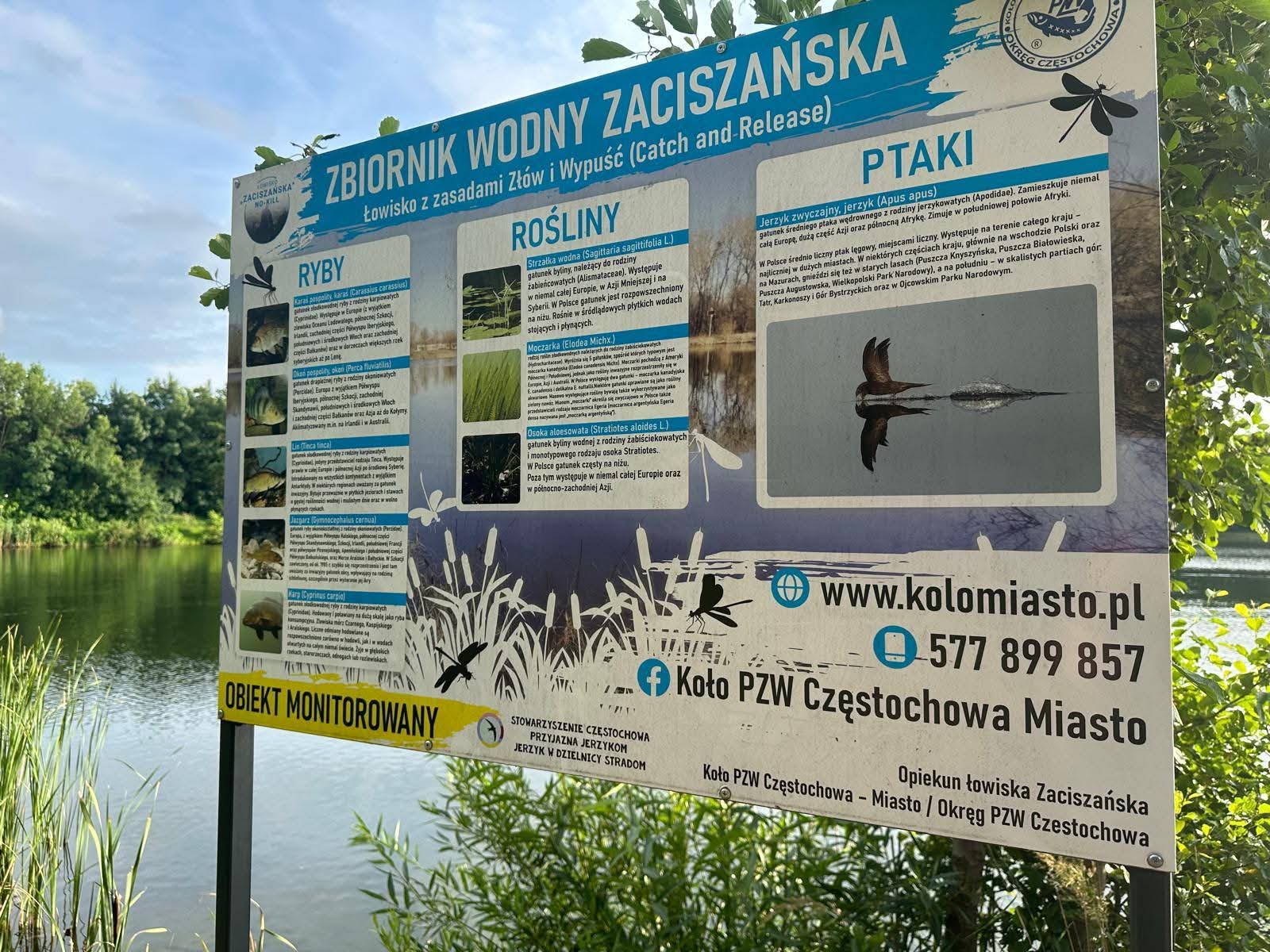Zdjęcie 2