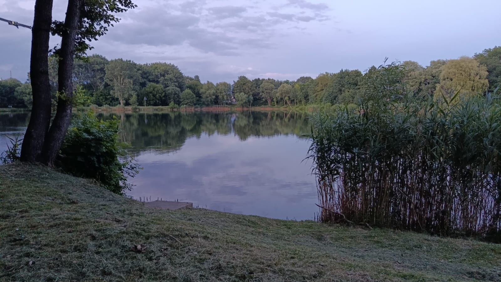 Zdjęcie 5