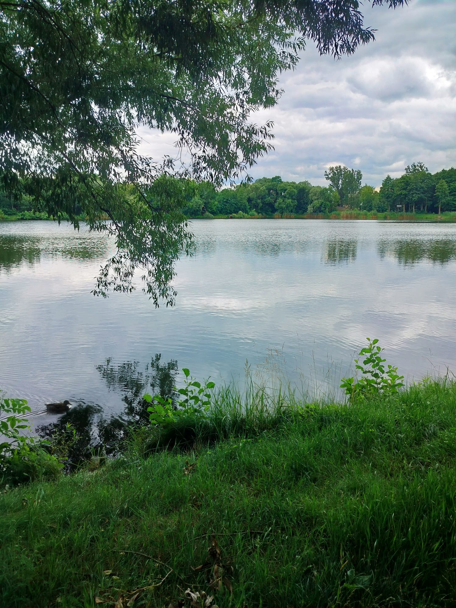 Zdjęcie 7